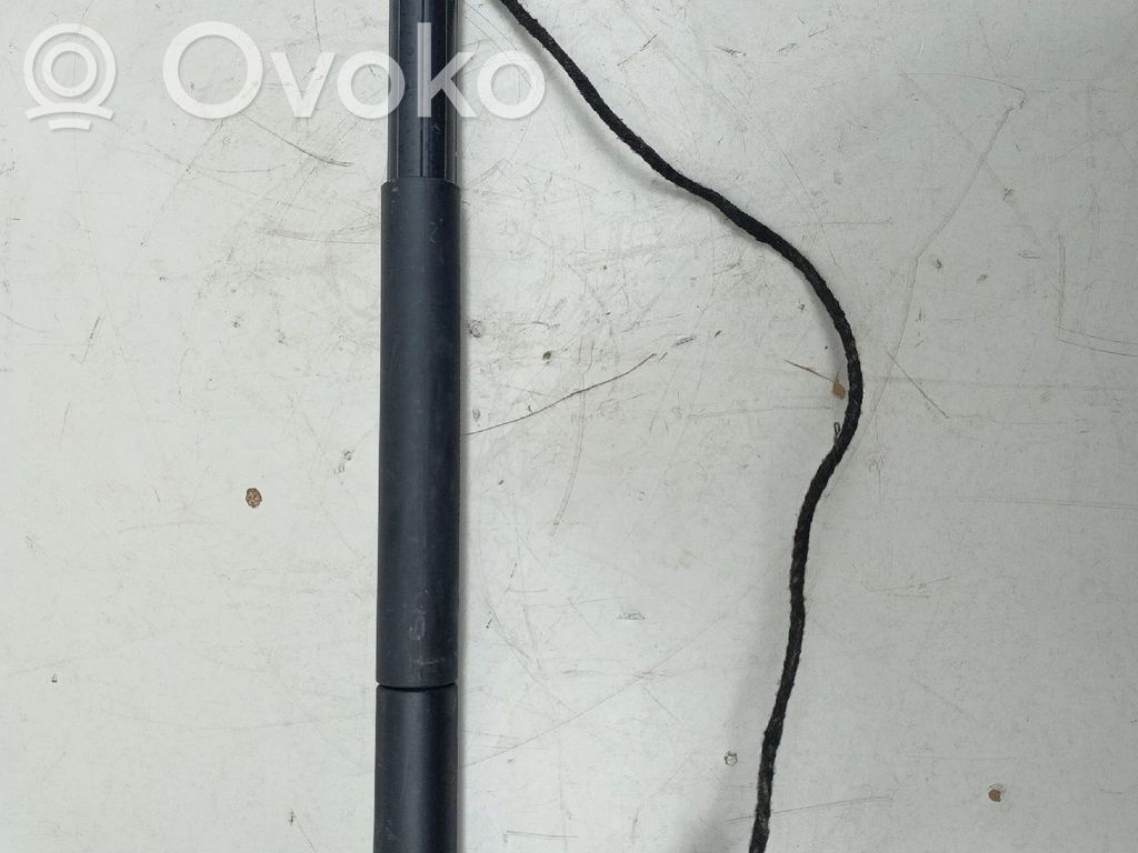Tailgate/trunk strut/damper   7188490