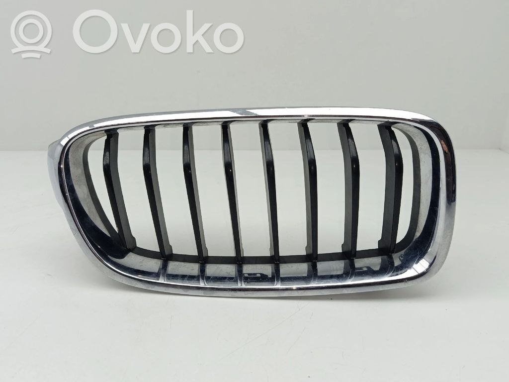 Front grill   51137255412