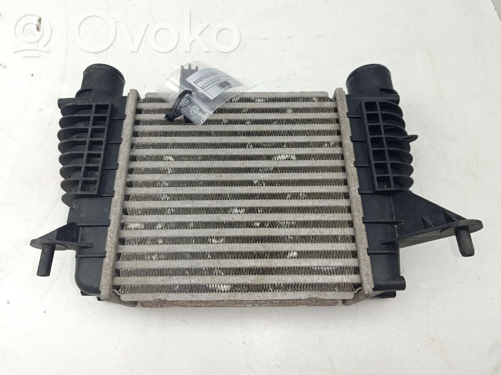 Intercooler radiator   8200471885