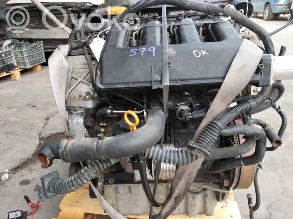 Variklis   D204D2