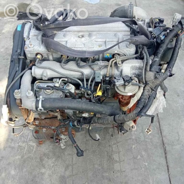 Motor   RF