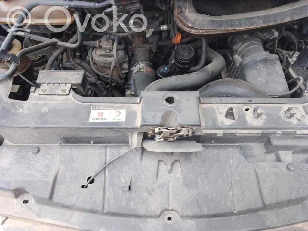 Citroen C3 Fuel tank filler cap 