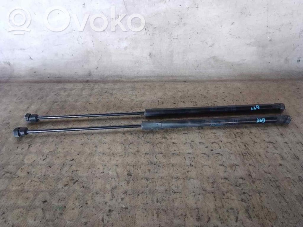 Tailgate/trunk strut/damper   13428064