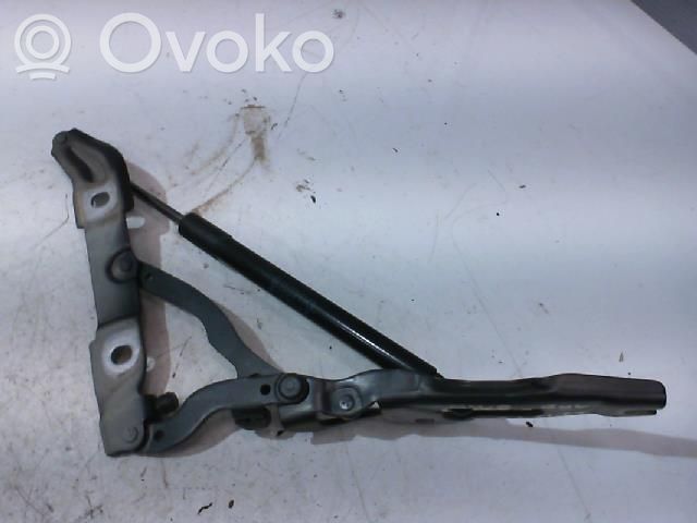 BMW 1 E82 E88 Tailgate/trunk/boot hinge 