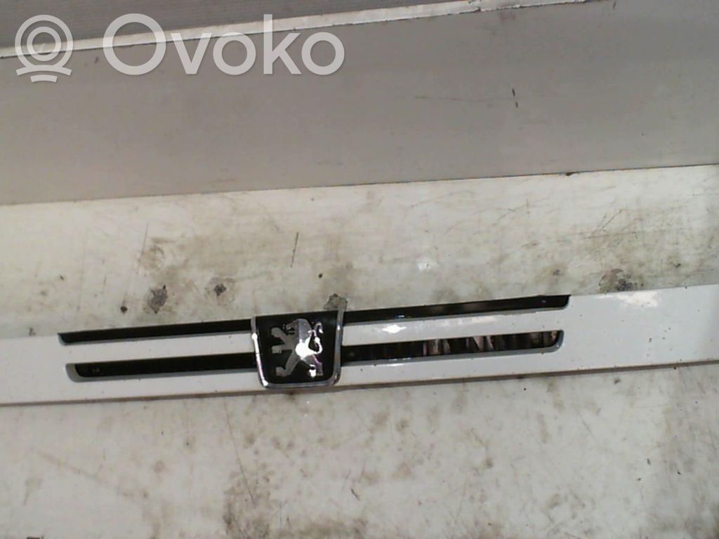 Peugeot Boxer Etusäleikkö 