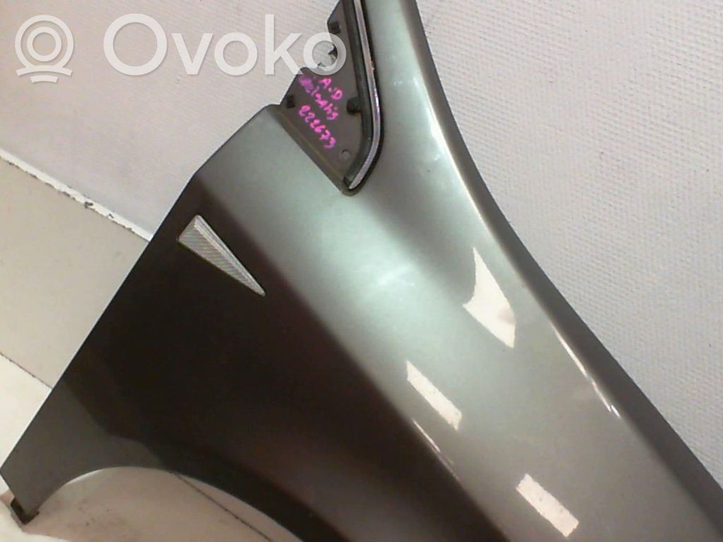 Renault Vel Satis Spārns 