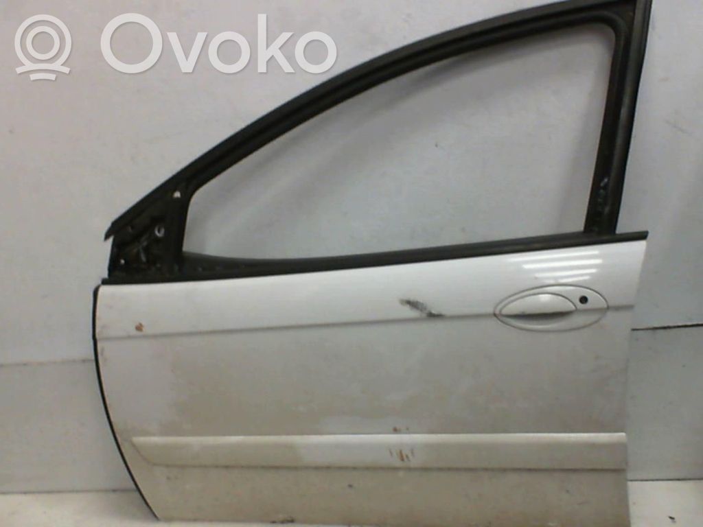 Priekinės durys   9002P1