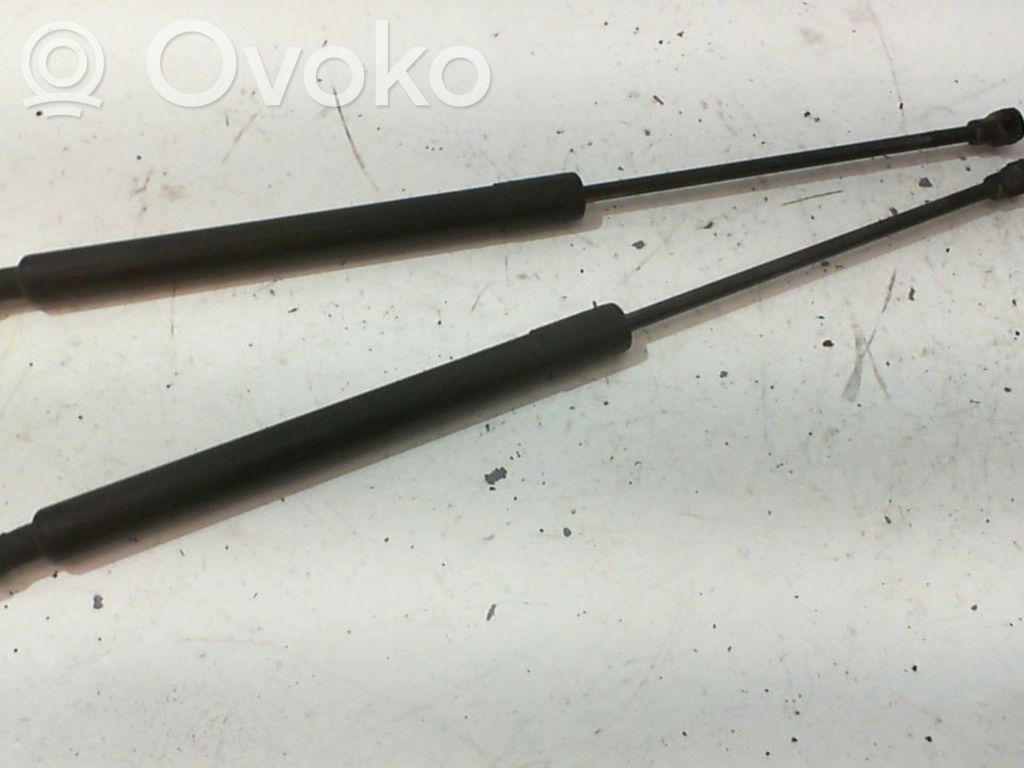 Citroen C3 Tailgate/trunk strut/damper 