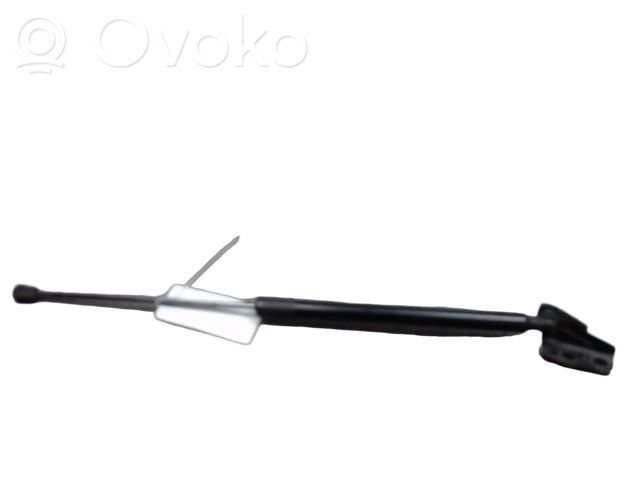 Tailgate/trunk strut/damper   1747492,127586,1487,1701829,1708918,1718369,1747492,2011353,2110622,422081,498563,51674,8127581,871016260,BM51406A10AE,BM51A406A10AD,BM51A406A10AE,BM51A406A10BB,CP9Z58406A10B,GS1596,MG00023