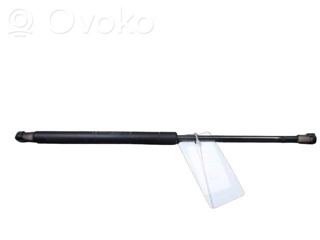 Fiat Punto Evo Bagāžnieka amortizators 