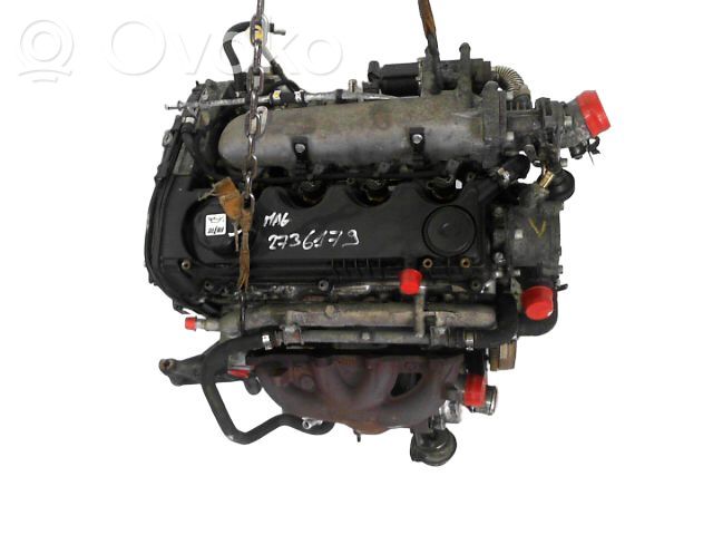 Engine   71738904,165520,71738904,937A2000