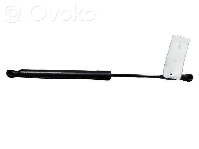 Renault Zoe Tailgate/trunk strut/damper 