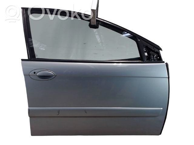 Priekinės durys   9004P0,9004P0