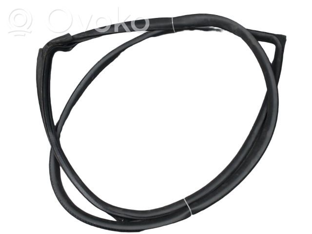 Mini One - Cooper Coupe R56 Front door rubber seal 