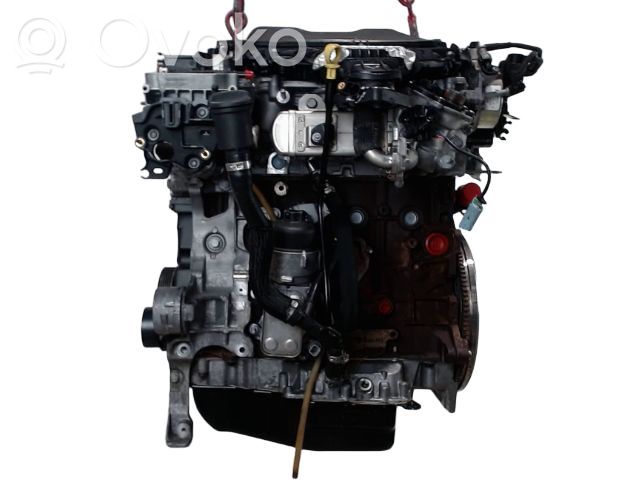 Engine   1838469,1838469,BJ36164,TYDA