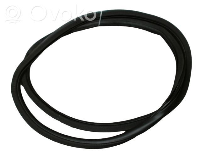 Fiat 500X Front door rubber seal 