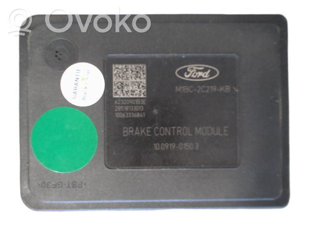 ABS Pump   2703477,2703477,MK100FIESTA