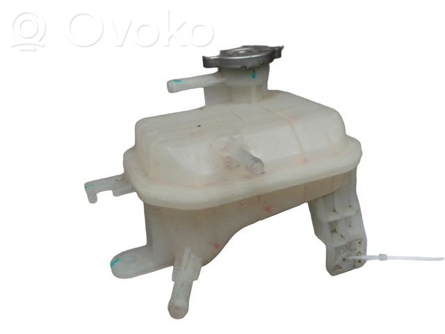 Zbiornik wyrównawczy chłodziwa   217104297R,217104297R