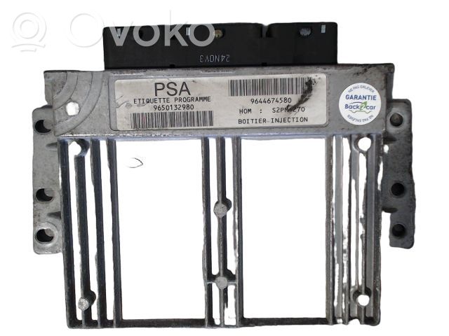 Engine control unit/module ECU   194216,194216,S2PMPSA