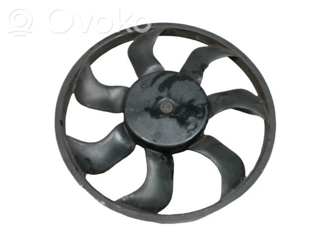 Elektrolüfter   214819521R,214819521R,T908213