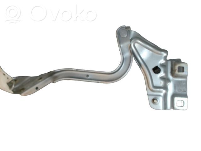 Renault Megane IV Dzinēja pārsega eņģe (-es) 