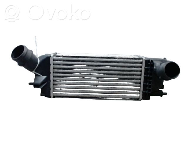 Peugeot 407 Interkūlerio radiatorius 