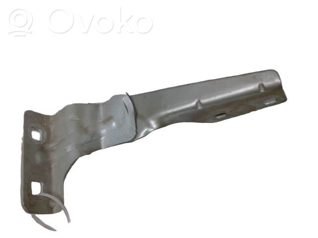 Renault Megane II Cerniere del vano motore/cofano 