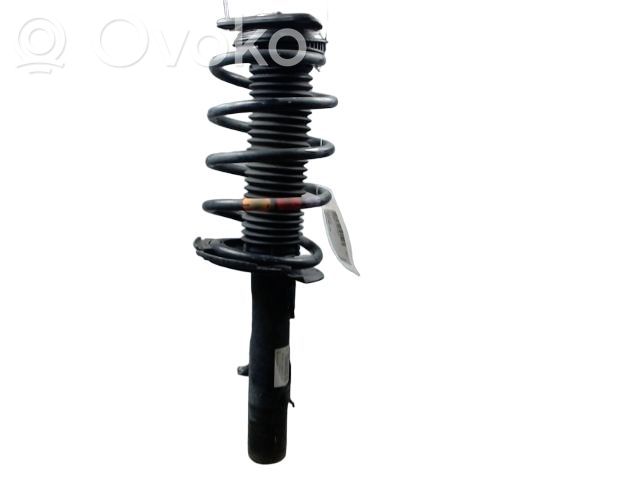 Ford Transit -  Tourneo Connect Ammortizzatore anteriore 