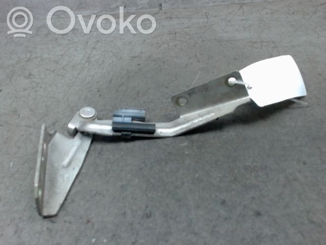 Ford Focus Dzinēja pārsega eņģe (-es) 