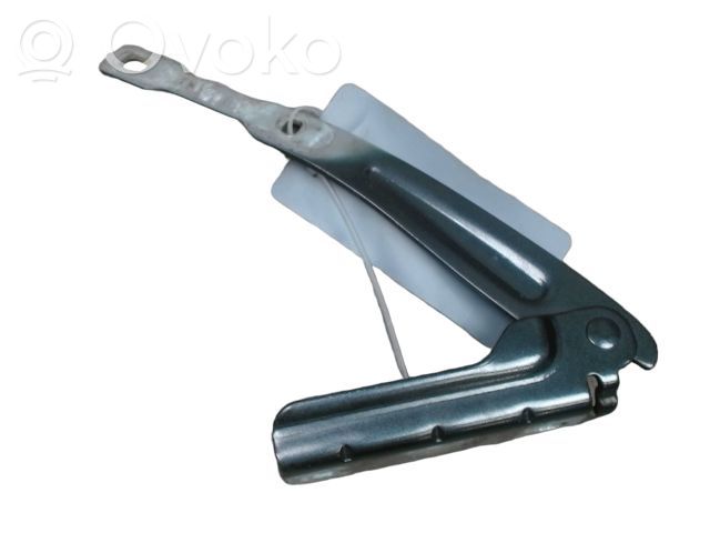 Dacia Lodgy Engine bonnet/hood hinges 