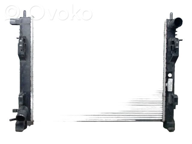 Dacia Lodgy Radiator lichid răcire 