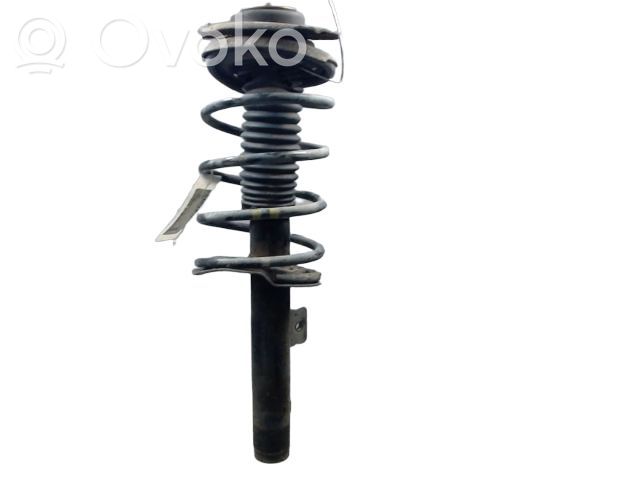 Peugeot 206 Front shock absorber/damper 