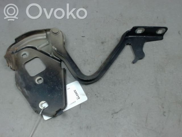 Ford Ka Dzinēja pārsega eņģe (-es) 