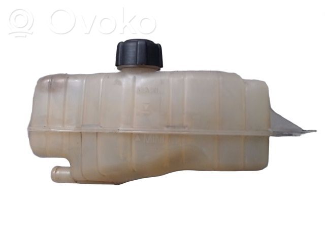 Renault Clio III Ausgleichsbehälter Kühlwasser 