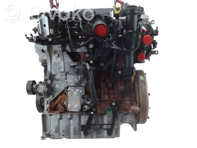 Motor   0135QG,0135QG,4040343,RHR