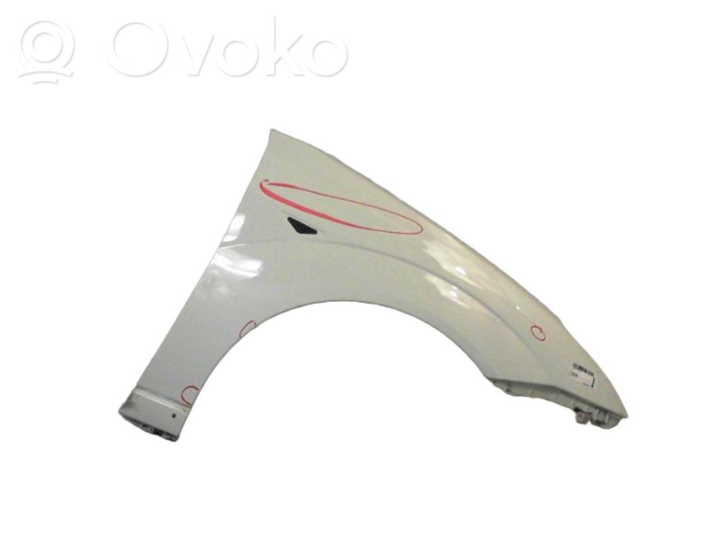 Ford Focus Fender