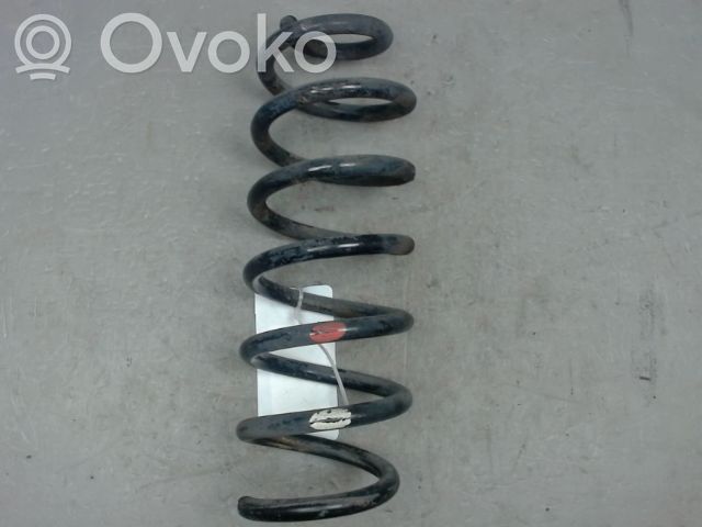 Nissan Qashqai Arc elicoidal spate 