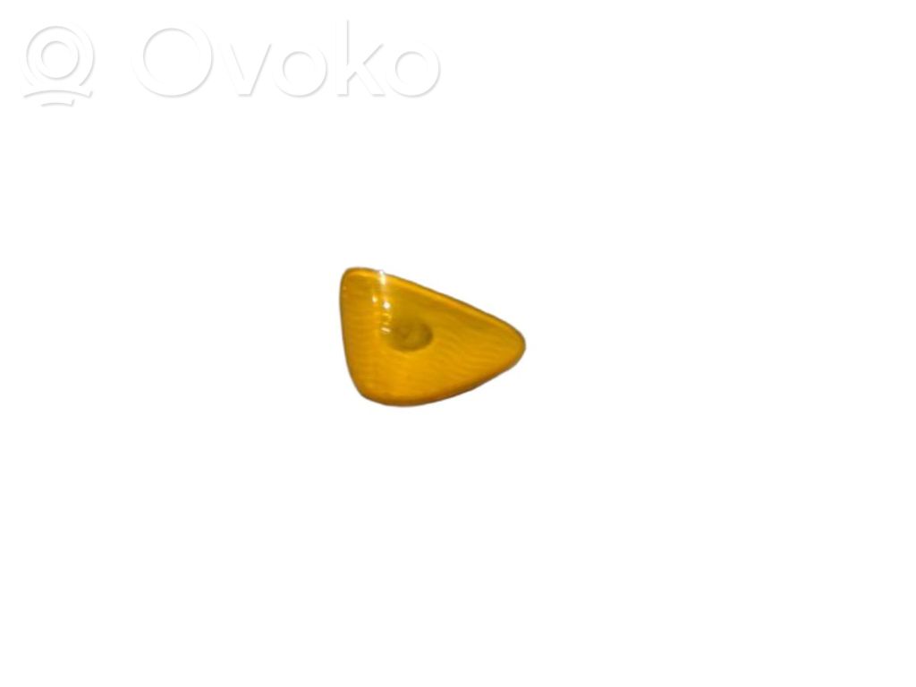 Renault Modus Mirror indicator light 