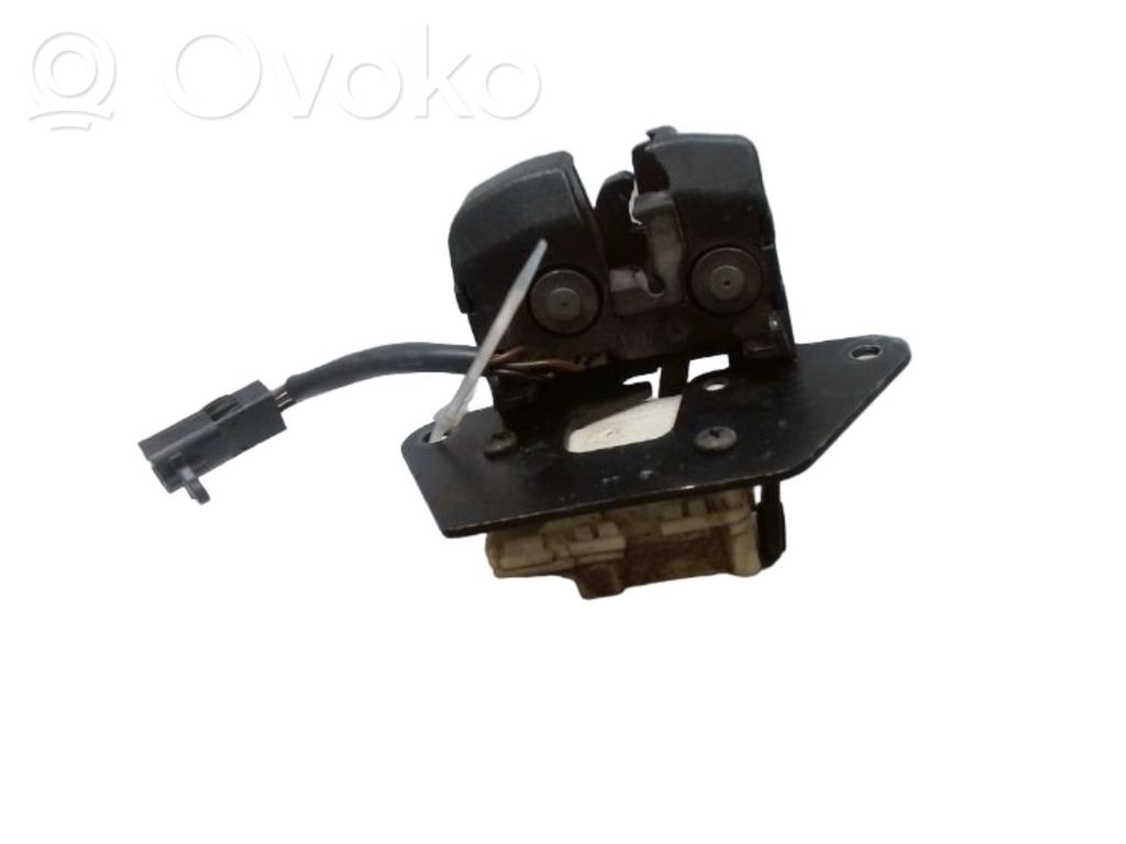 Loading door lock   51753956,009596,51753956