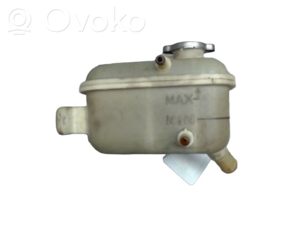 Hyundai i30 Serbatoio di compensazione del liquido refrigerante/vaschetta