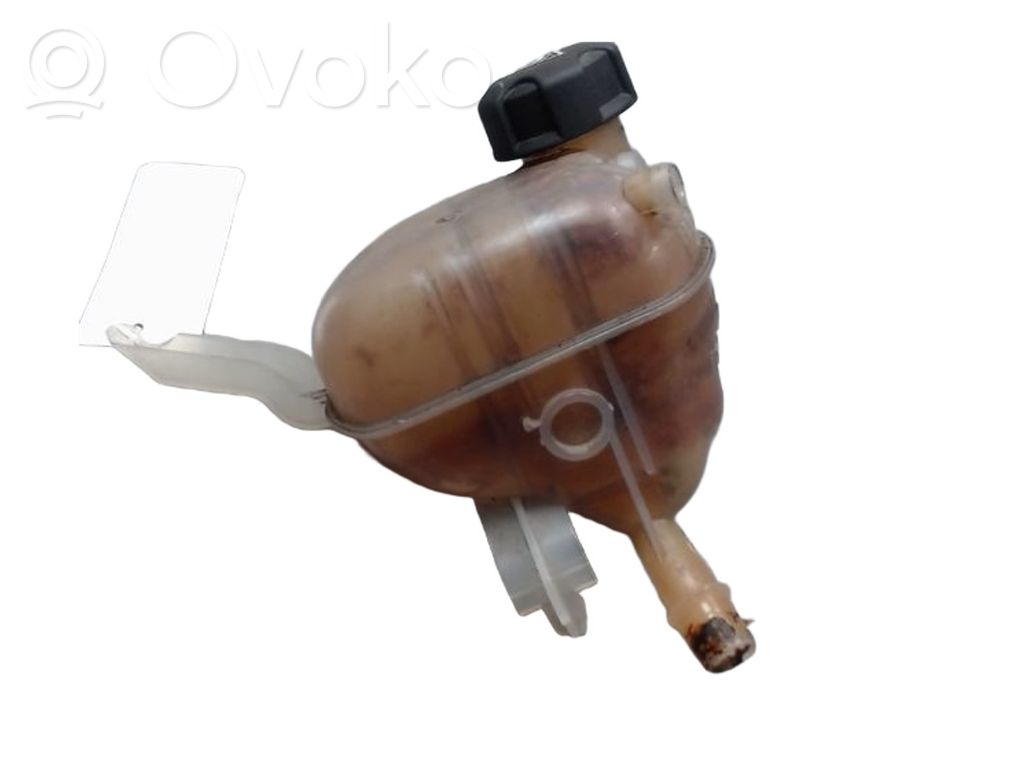 Citroen C5 Vas expansiune/rezervor lichid de răcire 