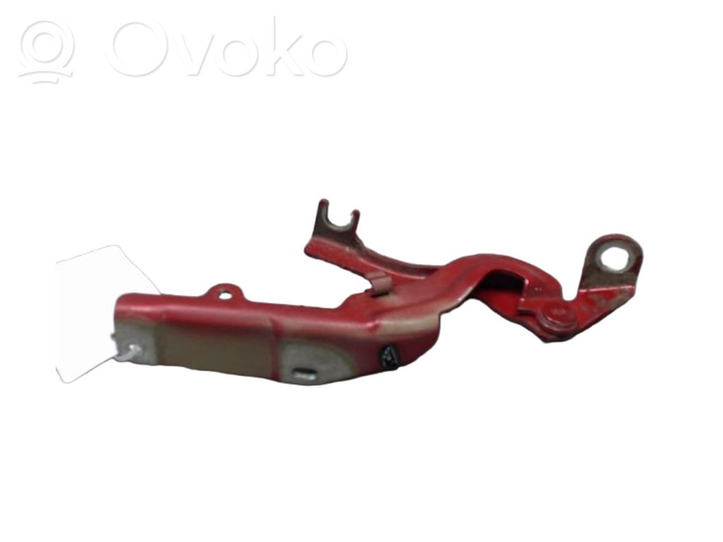 Citroen C3 Picasso Cerniere del vano motore/cofano 