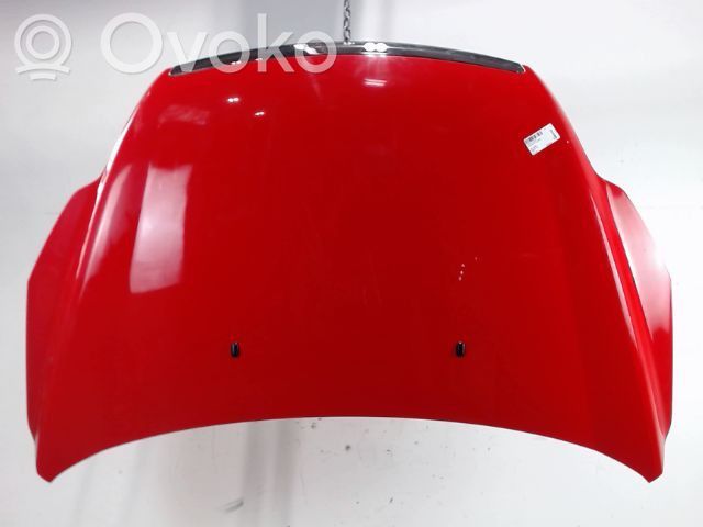 Capó/tapa del motor   1521601,01713105,05031563,093708,1417000,1521601,1866660,6803002533281Q,FD4263100,FD4263130,L04432