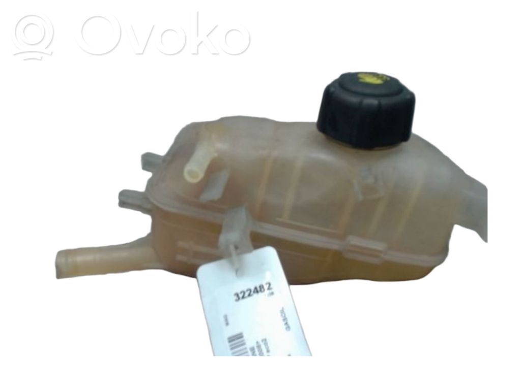 Renault Megane III Ausgleichsbehälter Kühlwasser 