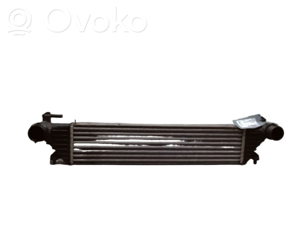 Fiat 500L Radiator intercooler 
