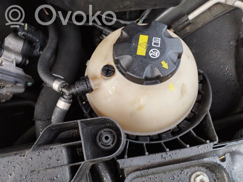 BMW 3 F30 F35 F31 Aušinimo skysčio išsiplėtimo bakelio dangtelis 