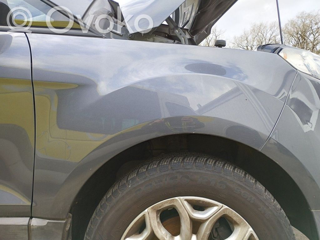 Ford Ecosport Sparnas 