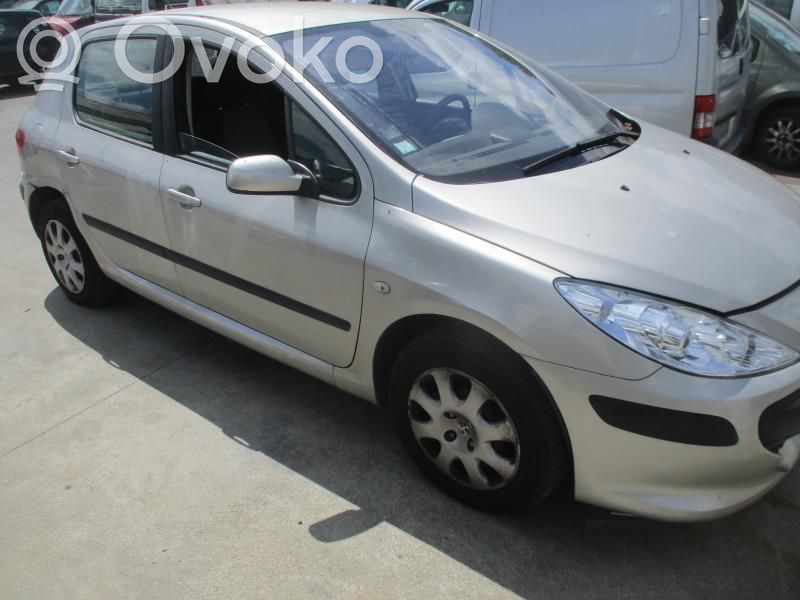 Peugeot 307 Sparnas 