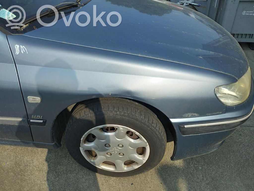 Peugeot 406 Lokasuoja 