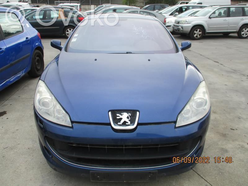 Peugeot 407 Radiatorių panelė 